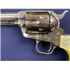 Image 4 : 21CI-9 COLT S.A.A. #SA50196