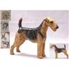 Image 1 : Royal Doulton Airedale Terrier (c1931) Rare #1751299