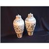 Image 1 : Ming period wine bottles containers #1751374