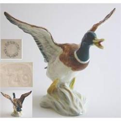 Beswick Model of Mallard Duck Rising #1775351