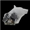 Image 1 : Kitty Cantrell, "Black Bear Clan" Limited Edition Mixed Media Lucite Sculpture with COA.