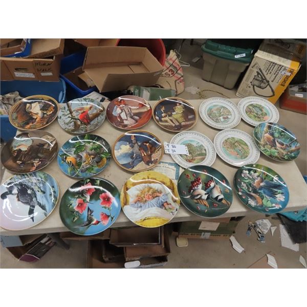 17 Collector Plates