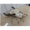 Image 2 : Cow Skull- Last Picture- W Bullet Hole