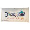 Image 1 : Disneyland 45th Anniversary Banner