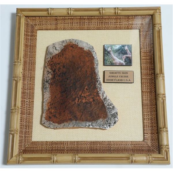 Disneyland Jungle Cruise Giraffe Skin Prop