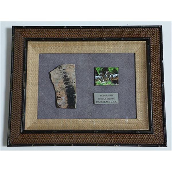 Disneyland Jungle Cruise Zebra Skin Prop