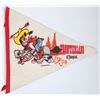 Image 1 : Disneyland Frontierland Goofy Pennant