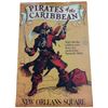 Image 1 : Disney Gallery Pirates of the Caribbean Poster
