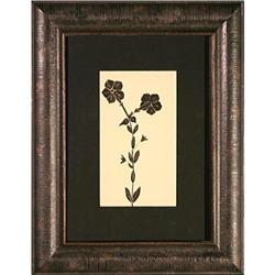 Petunias II Black, by Margaret L. Neill #1788300