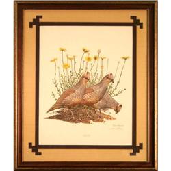 Scaled Quail, by Ray Harm- Print #1788354