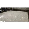 Image 1 : HOMELIGHT 48" X 24" PROFESSIONAL LED LIGHT CONTROLLED DANCE FLOOR WITH CONTROLLER IN MOBILE CASES,