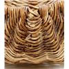 Image 4 : Native American Ojibwa Willow Buttocks Basket