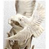 Image 4 : Zuni Carved Antler Double Owl Fetish by R.Najera