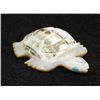 Image 1 : Zuni Carved Shell Sea Turtle Fetish by C. Tsattie