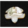 Image 2 : Zuni Carved Shell Sea Turtle Fetish by C. Tsattie