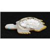 Image 4 : Zuni Carved Shell Sea Turtle Fetish by C. Tsattie