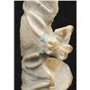Image 2 : Zuni Carved Antler Bat Fetish by Derrick Kaamasee