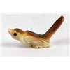 Image 1 : Zuni Fossilized Ivory Bird Fetish by Ricky Laahty