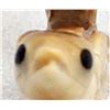 Image 6 : Zuni Fossilized Ivory Bird Fetish by Ricky Laahty