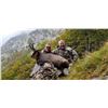 Image 1 : CAPRINAE SAFARIS: 2-DAY VERCORS OR CHARTREUSE CHAMOIS HUNT FOR ONE HUNTER IN THE FRENCH ALPS