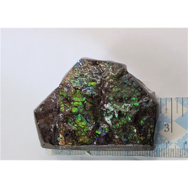 35)  NATURAL GREEN AND PURPLE FIRE AMMOLITE