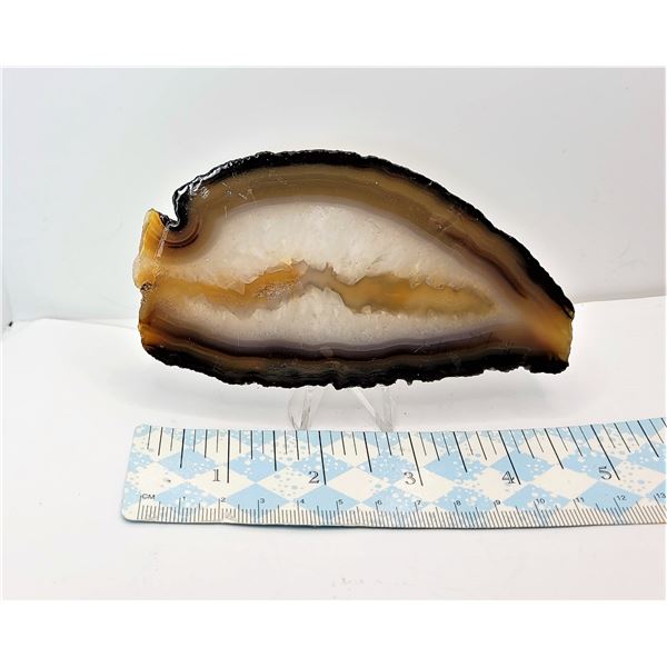32)  NATURAL AGATE GEODE SLICE MINERAL