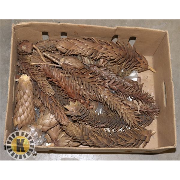BOX OF DIFFERENT SIZE PINECONES