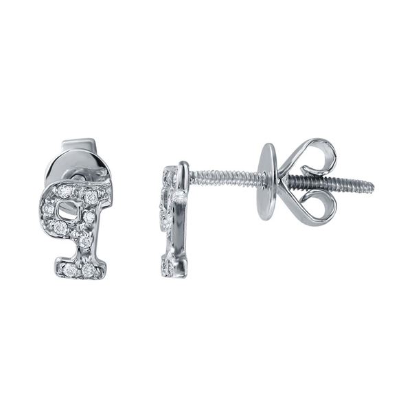 Natural 0.05 CTW Diamond Earrings 14K White Gold - REF-10W2H