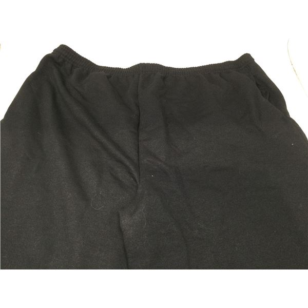 Hanes Sweatpants (2x)