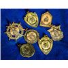 Image 1 : GROUP OF 7 VINTAGE 1930'S ALBERTA AWARD MEDALS