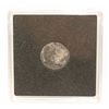 Image 2 : 1888 VICTORIAN CANADA SILVER 5 CENT "FISHSCALE"