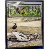 Image 1 : UNFRAMED SEA BIRD PRINT W. MARSHALL ISLAND STAMPS