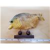 Image 2 : 7" PIRAHNA FISH TAXIDERMY