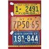 Image 1 : 1957 North Dakota ,1951 Florida , 1948 New York Plates