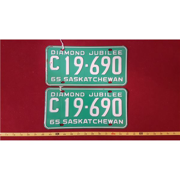 1965 C19.690 Licence Plate Pair