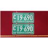 Image 1 : 1965 C19.690 Licence Plate Pair