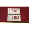 Image 1 : 1971 C15.886 Licence Plate Pair
