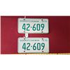 Image 1 : 1970 SK Licence Plates Pair