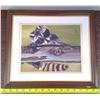 Image 1 : Racoon Picture