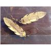 Image 2 : 1 Set Elk Horn Earrings