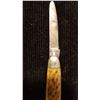 Image 4 : Antler Handle Folding Knife