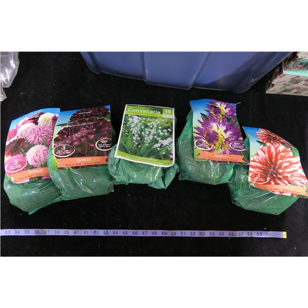 #1235 - 5 Bags of Bulbs (4 Varietys of Dahlia's and 1 Bag Lillies)