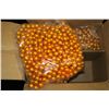 Image 3 : Lot of 2000 Paint balls
