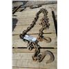 Image 1 : Apprx 10' Heavy Chain and Hooks