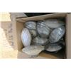 Image 2 : Box of 12Volt Flood Light Bulbs X10