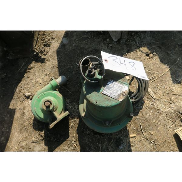 Myers Sump Pump and Small Water Pump