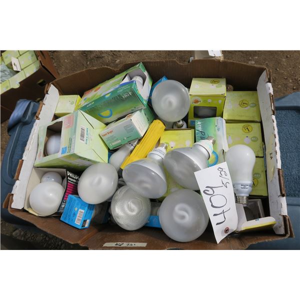 Box of Lightbulbs