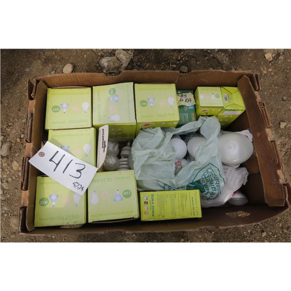 Box of Lightbulbs