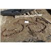 Image 1 : Heavy Tow Chain