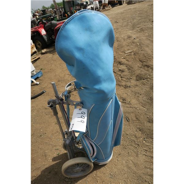 Golf Club Set and Case - 12 Clubs